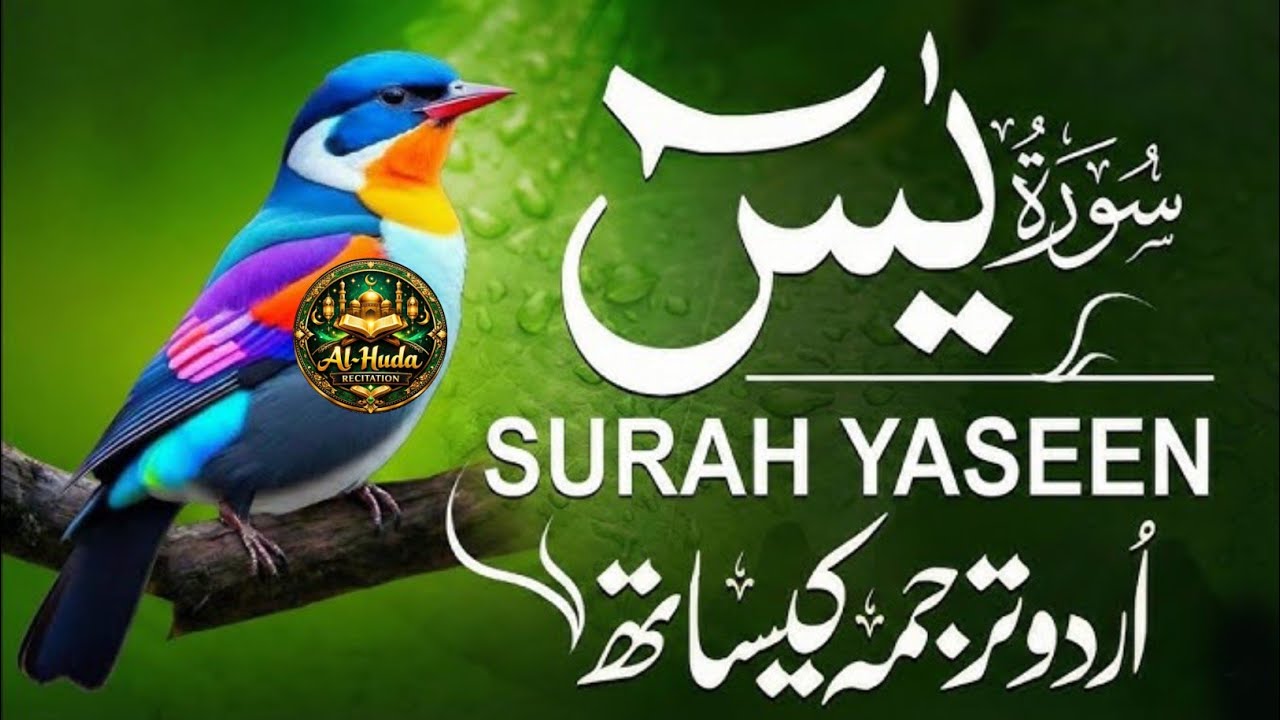 Surah Yasin Full HD Arabic Text | Most Beautiful Quran Recitation 2026