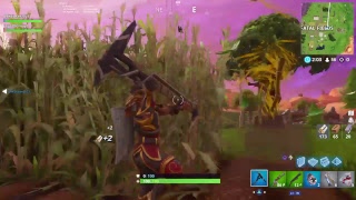 Fortnite Shadow Stones Took Already???