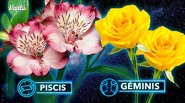 ¿Cuál es la flor favorita de Piscis?