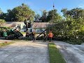 Hard work. Strong teamwork. Real results. 💪🌳🔥 #jacksonville #treecutting #treeservice #trending