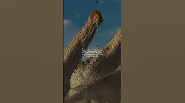 خَلَقَ السَّمَاوَاتِ بِغَيْرِ عَمَدٍ تَرَوْنَهَا سورة لقمان ياسر الدوسري