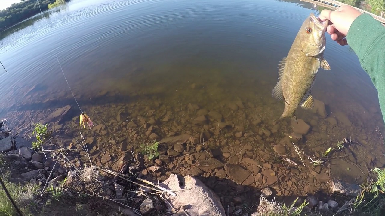 Catching Smallmouth Bass On Beds At Horsetooth Reservoir YouTube