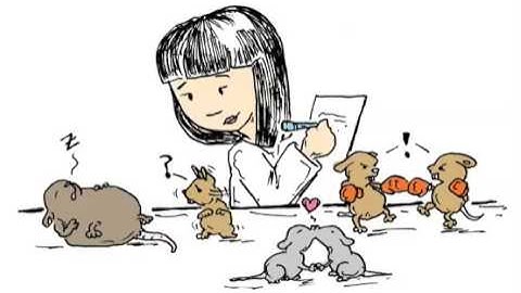 Why experiment with mice?