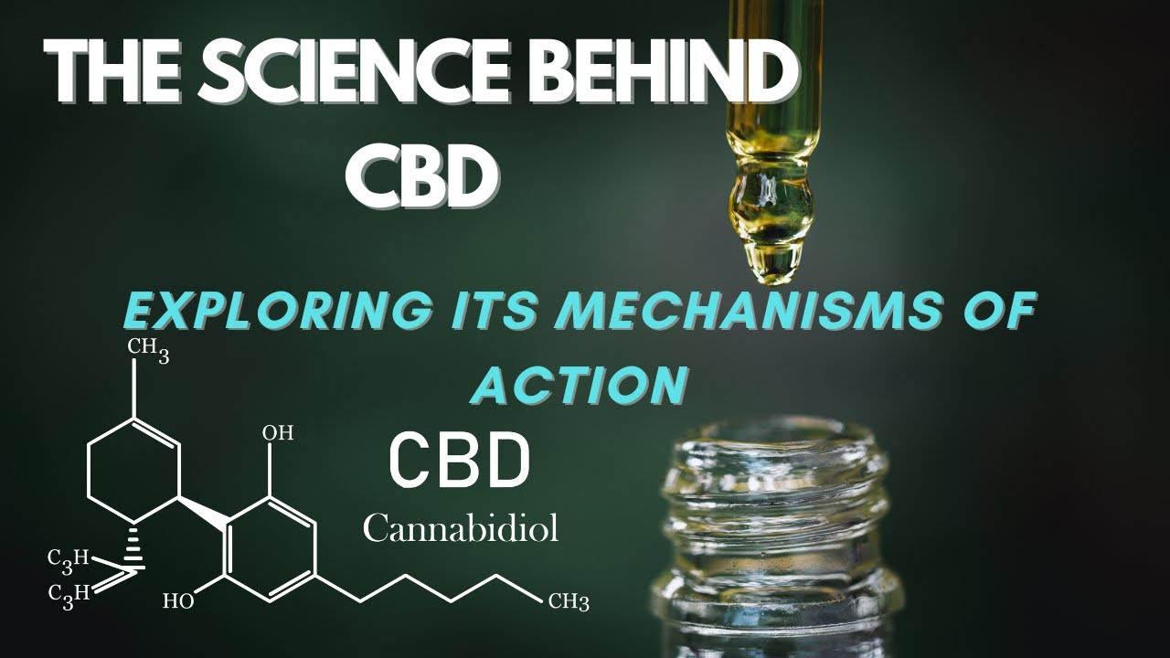 The Science Behind CBD: Exploring Its Mechanisms of Action
