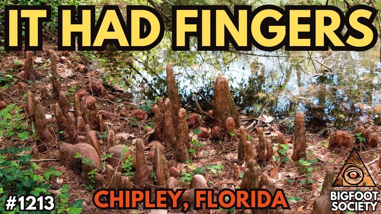 Two Field Workers Saw Something Pull Itself Through a Florida Swamp | Bigfoot Society 1213