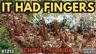 Two Field Workers Saw Something Pull Itself Through a Florida Swamp | Bigfoot Society 1213