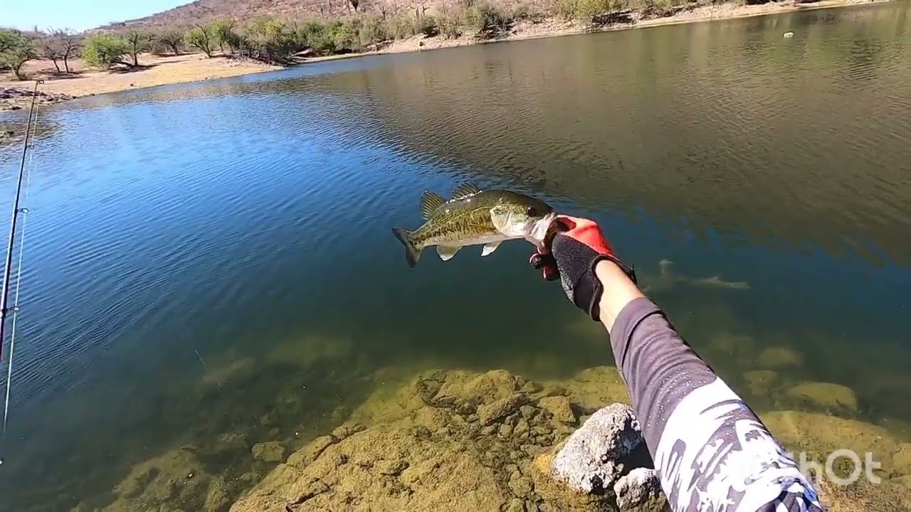 #pesca​ #kayak​ #kayakfishing​ #lobina​#sonora​ #fyp #viral #viralshort #fishing #bassfishing #bass​