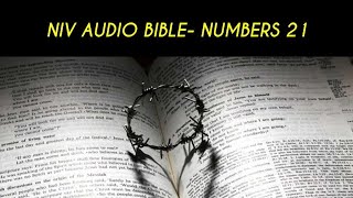 NUMBERS 21 NIV AUDIO BIBLE (with text)