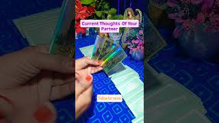 Current Thoughts Of Your Partner|No Contact|Tarot #tarot #nocontactreading