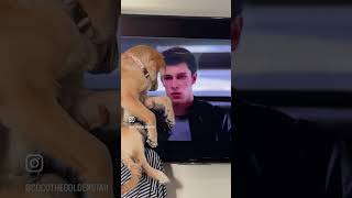 Shawn Mendes - Sches By Coco