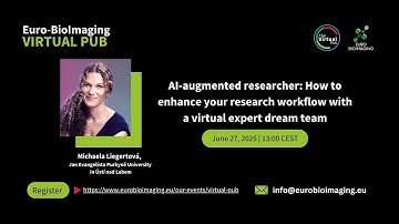 AI-augmented researcher: How to enhance your research workflow with a virtual expert dream team