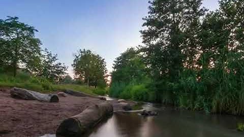 #قصار السور #جزء عم سورة العلق