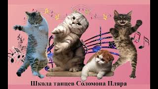 Аркадий Дворкинд   Школа танцев Соломона Пляра кошки вариант 1