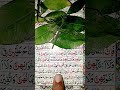 Quran recitation #allah #islam