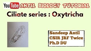 Ciliate: Oxytricha species| life under the microscope|