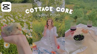 Cottagecore CapCut Filter | capcut editing tutorial screenshot 2