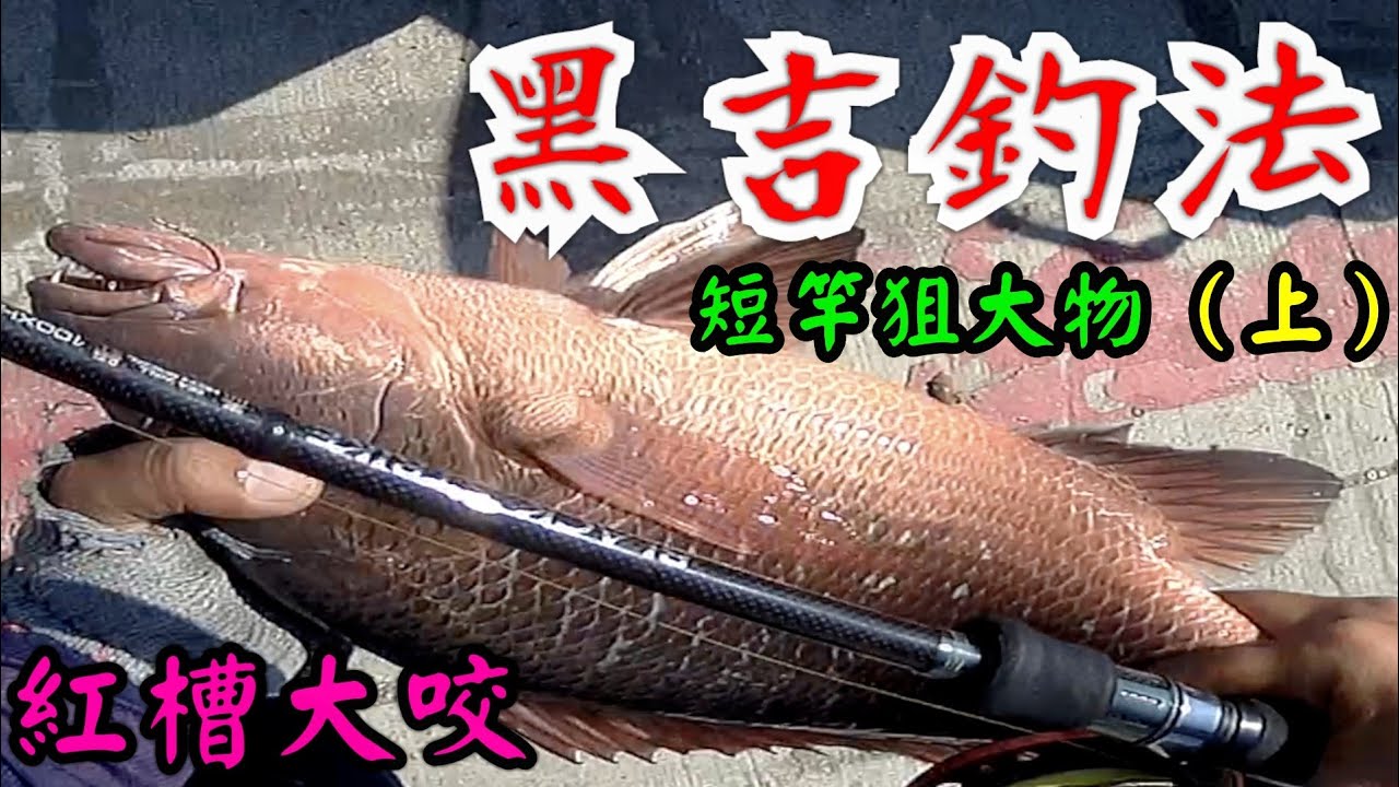 黑吉釣法 短竿狙大物（上）紅槽大咬