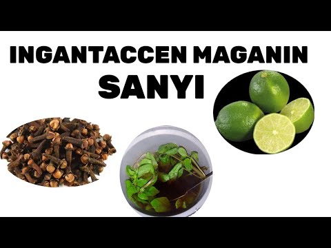 INGANTACCEN MAGANIN SANYI