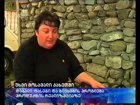 კახელი გლეხების გაჭირვება