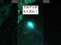 カメラ落とした後衝撃の光景が!