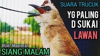 Suara Trucukan TERBAIK YG D SUKAI LAWAN ‼️ SEKALI PUTAR SEMUA TRUCUKAN NYAUT NGROPEL MENDENGARNYA ‼️