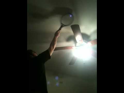 THE BUG ZAPPER