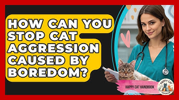 How Can You Stop Cat Aggression Caused By Boredom? - Happy Cat Handbook