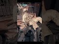 i tried to save him  #gaming  #funny #battlefield6 #medical #saved #shortsviral #bf6moments