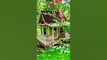 Can You Find the Cat? #puzzle #challenge #shortsvideo #catgame