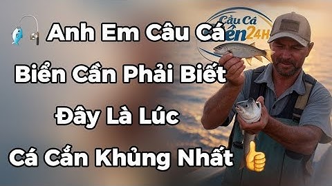 Bí Mật Con Nước 🎣 Giờ Vàng Cá Biển Ăn Mạnh Nhất – Chọn Mồi Và Cần Câu Sao Cho Chuẩn