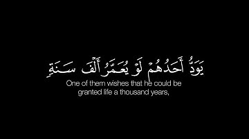 سورة البقرة الاية [96-97] | القارئ: ياسر الدوسري