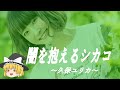 【久保ユリカヒストリー】すぐに詳しくなる動画