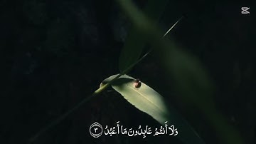 تلاوة خاشعة لسورة الكافرون 🌿 | بصوت هادئ يريح القلب