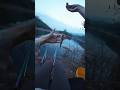 Easiest way to catch fish Best fishing techniques with best fishing rod with best fishing rod #viral
