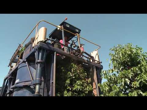         مرحبا بكم في عالم ايلي