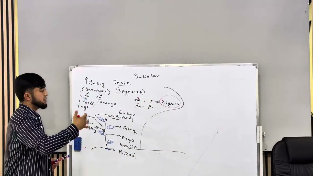 🌱 Yusin qirqquloq, qirqbug‘im va ochiq urug‘lilar | Biologiya 6-sinf darsi FULL 2025