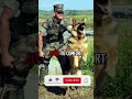THIS MADE PEOPLE CRY😭#viral #dog #ytshorts #animals