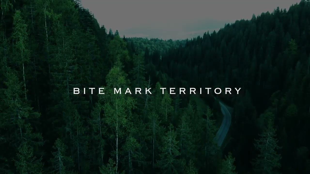 BITE MARK TERRITORY - INTRODUCTORY CINEMATIC
