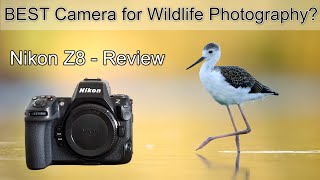 Nikon Z8 REVIEW  The perfect camera for bird photography?