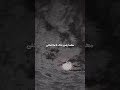 كل شي يهون بضحكة منك يا ملاكي ستوري ستوريات حالات حالات واتس حالات واتساب كل شي يهون بضحكة منك يا ملاكي ستوري ستوريات حالات حالات واتس حالات واتساب