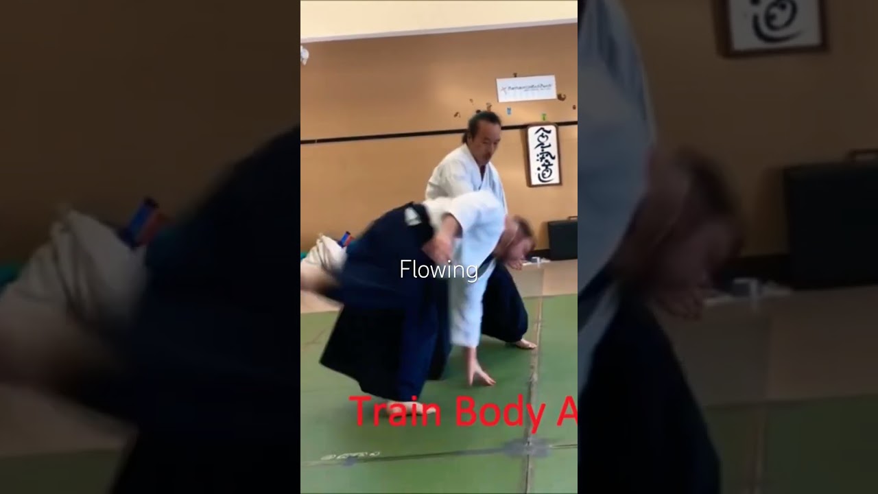 WOW!合氣 | 二つの螺旋 : Two Spirals | Rear Choke One Hand Grasp 後ろ片手取り首絞め入り身投げ 