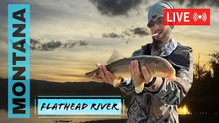 #LIVE #FISHING - E57 - Chasing Fall Whitefish On Flathead River!