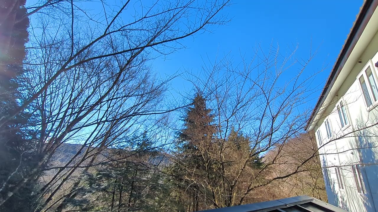 箱根　旅館　蔵樹　箱根神社の神域　通勤中に聞くだけで1日が幸せに満ちる　2026/02/26　箱根蔵樹から風景と自然のBGM