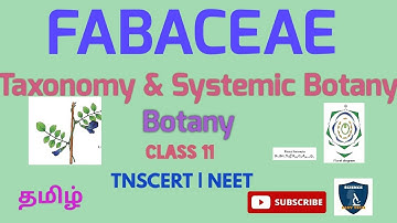 Fabaceae in Tamil | Taxonomy & Systematic Botany I Botany I Class 11 | TNSCERT | NEET