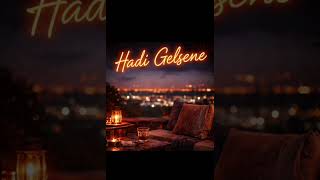 Hadi gelsene 
