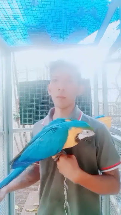 semua ku korban ku untuk mu.jefri aleidayat.fidio viral ayo liat yesel GK lihat##########
