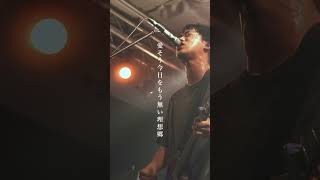 こころのこり / Brown Basket #youtubeshorts #shorts #邦ロック #ロック #live #ライブハウス