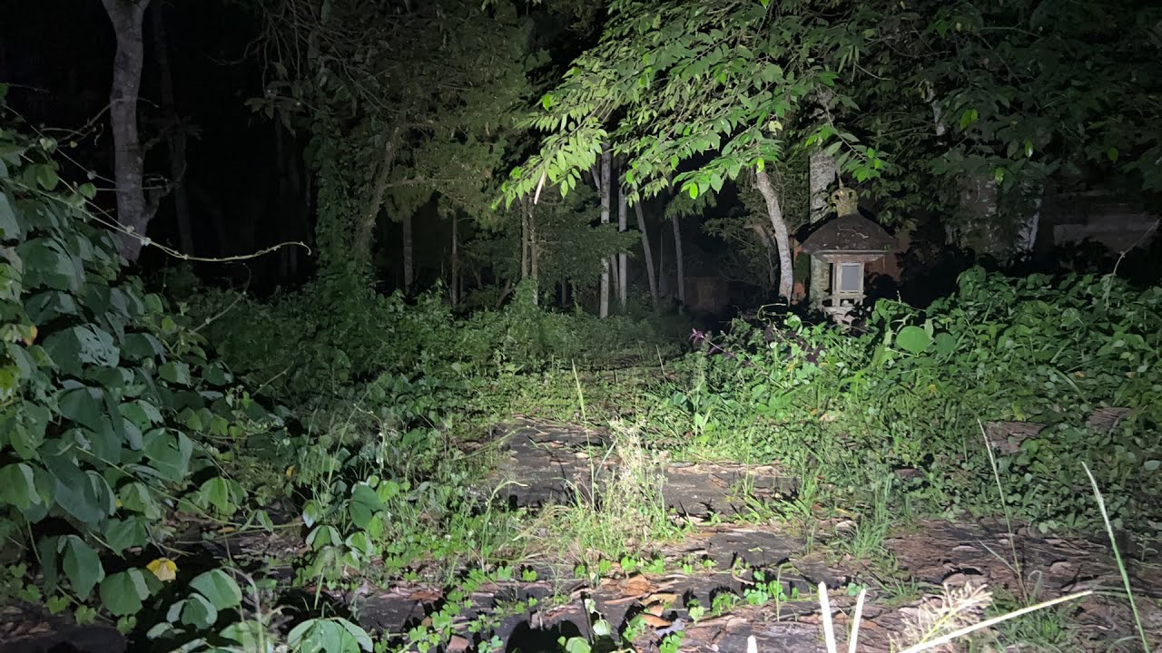 🔴DULU TERKENAL SEKARANG ANGKER / BALI