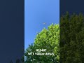 N22487 WTF Violent Attack Ferris Bennett Psycho Monroe MI #aerialStalker