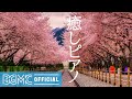 癒しピアノ: Beautiful Piano Music - Relaxing Music, Study Music, Stress Relief, Sleep Music